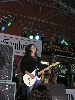 Koncerty 2005